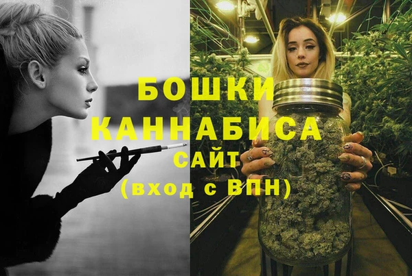 молекула духа Гусиноозёрск