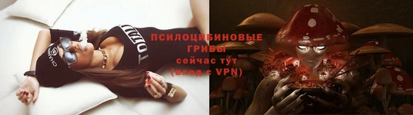 винт Шадринск