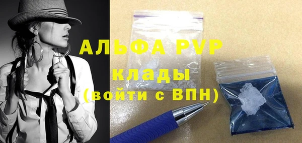 PSILOCYBIN Гусев