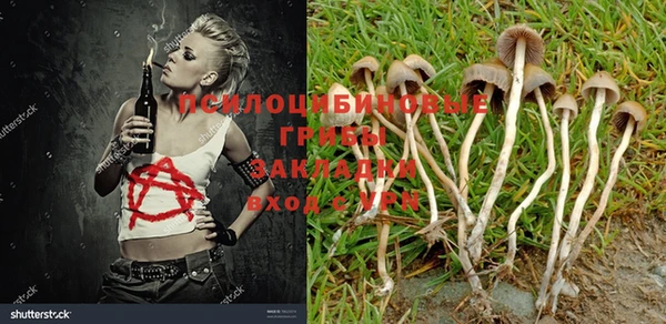 молекула духа Гусиноозёрск