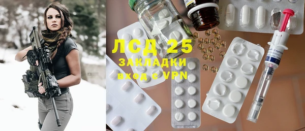 PSILOCYBIN Гусев